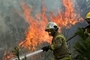 칠레, 중남부 산불 확산으로 최소한 23명 사망
