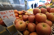 사과값 한 달 전보다 16 하락…사과 납품단가 지원 확대 효과