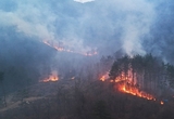 주말 전국 곳곳 산불로 피해 속출…축구장 1만900개 면적 산림과 주택 90채 전소