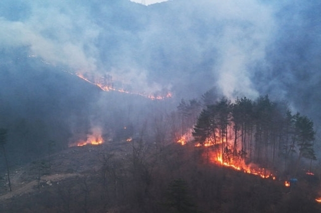 주말 전국 곳곳 산불로 피해 속출…축구장 1만900개 면적 산림과 주택 90채 전소