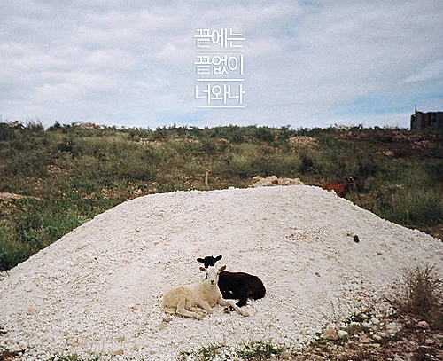 요조 '끝에는 끝없이 너와 나'