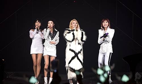2NE1, 그룹/뉴시스