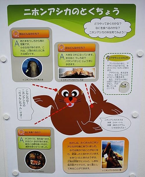 日 시마네현청 독도 강치 캐릭터 홍보/뉴시스