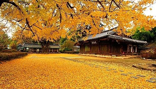 전주 향교 /뉴시스