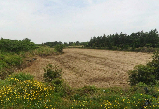 11월 최고 낙찰가율을 기록한 서귀포시 성산읍 낙산리 소재 임야 전경.(사진=지지옥션 제공)