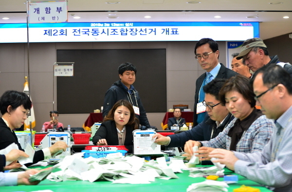2회 전국동시조합장선거 투표가 13일 오후 5시 충북 119개 투표소에서 종료된 뒤 청주시 서원구 개표소인 농협중앙회 충북지역본부 회의실에서 선거사무원들이 개표를 진행하고 있다. (뉴시스)