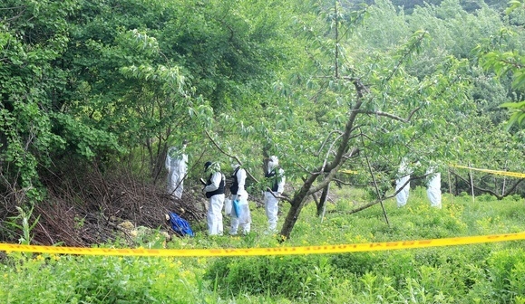 부산에 거주하던 20대 여성이 전북 전주 한옥마을 부근에서 실종 24일이 지난 12일 전북 완주군 상관면의 한 과수원에서 전북지방경찰청 과학수사대 관계자들이 부산 실종 여성으로 추정되는 시신을 발견하고 현장을 감식하고 있다. (사진=뉴시스)