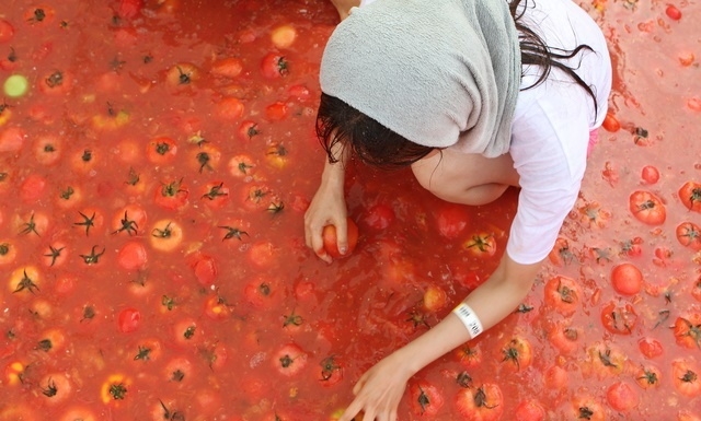 국내 한 토마토 관련 축제. 뉴시스 제공