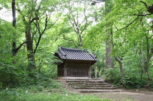 오크밸리 ‘신들의 숲’ 패키지. 오크밸리 제공