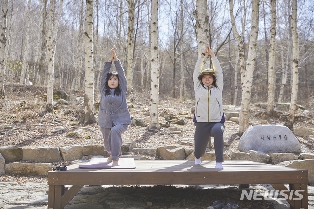 국립김천치유의숲.(사진=한국관광공사 제공/뉴시스)