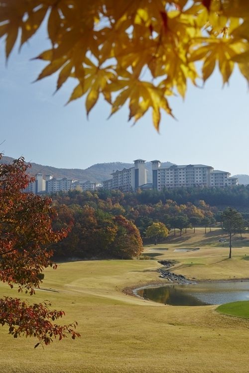 오크밸리 가을 전경.