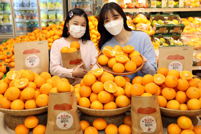 이마트는 오는 11월 19일부터 25일까지 일주일간 '친환경 봉투'에 고객이 직접 담을 수 있을 만큼 담아가는 ‘황금향 무한담기 행사’를 실시한다 (사진=이마트 제공)