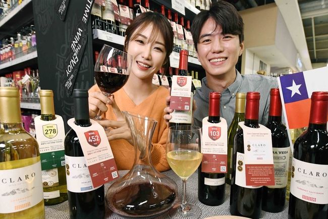 홈플러스는 가정 내 송년회를 준비하는 ‘홈파티족’을 겨냥해 뛰어난 가성비의 칠레 ‘비냐 루이스 펠리페 에드워드’ 와인 10종을 새로 선보인다 (사진=홈플러스 제공)