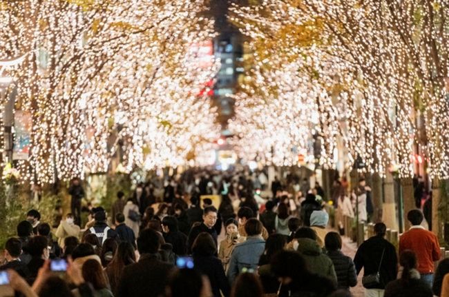 크리스마스 전날인 24일 일본 도쿄의 한 거리에서 시민들이 나무에 장식된 조명을 휴대폰으로 촬영하고 있다. 이날 일본의 신종 코로나바이러스 감염증(코로나19) 신규 확진자 수는 최다를 기록했다 (사진=뉴시스 제공)