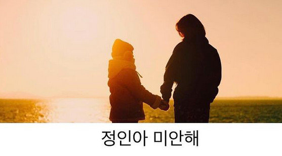  한지민이 5일 '정인아 미안해' 챌린지에 동참하며 진정서를 제출했다. 사진=한지민 소셜네트워크서비스 캡처