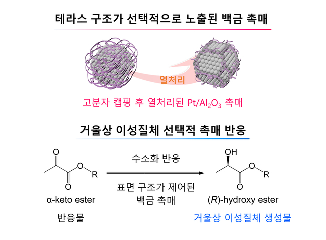 (상)거울상 이성질체 선택도의극대화를 위해 테라스(terrace) 표면 구조만 선택적으로 노출된 백금 나노촉매의개념도 <br>
(하) 수소화 촉매 반응