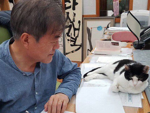문재인 대통령이 12일 청와대 관저에서 반려묘 찡찡이를 돌보며 설 명절을 보내고 있다. (사진=청와대 제공)