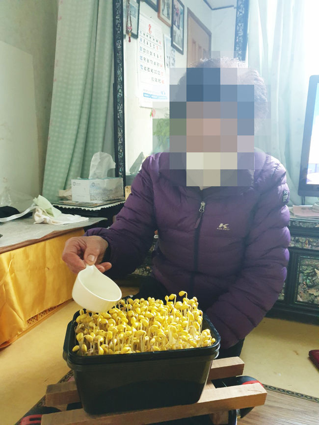콩나물 키우기 프로그램 운영 사진