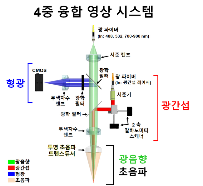 4중 융합 영상 시스템의 모식도