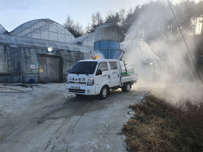 함양군 가축전염병 청정 지역 사수 사진