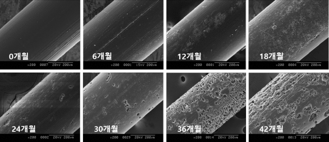 ▲ ㈜안코바이오플라스틱스의 생분해성 어망 분해과정 (분해균: Bacillus sp., Fungi) Test 기관: 국립수산과학원(사진=안코바이오플라스틱스 제공)<br>
