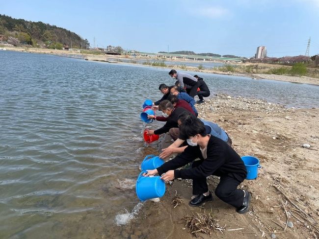 울진군이 어린 은어를 방류하고 있는 모습