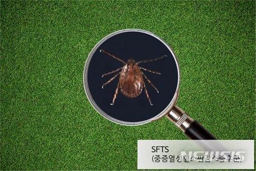 (사진=뉴시스 제공)