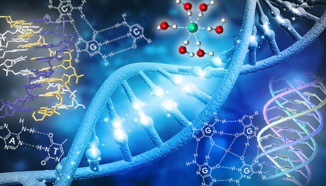 DNA 이중, 삼중, 사중나선 구조 이미지