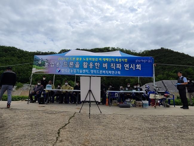 영덕군이 드론을 이용한 벼 직파 연시회를 가졌다. 