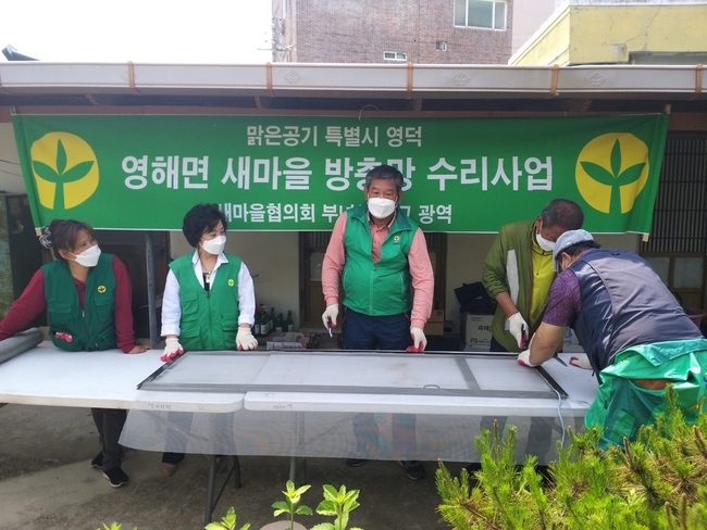 영덕군 영해면 새마을회가 방충망 교체작업을 펼치고 있다.