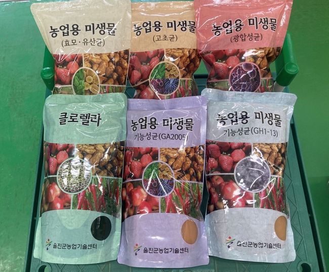 농업기술센터에서 자체 생산한 6종류의 우량 미생물 사진
