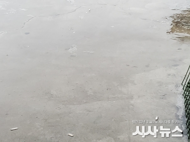 울산 동강병원 야외휴게실 복도 출입문 앞에 널브러져 있는 담배꽁초들.