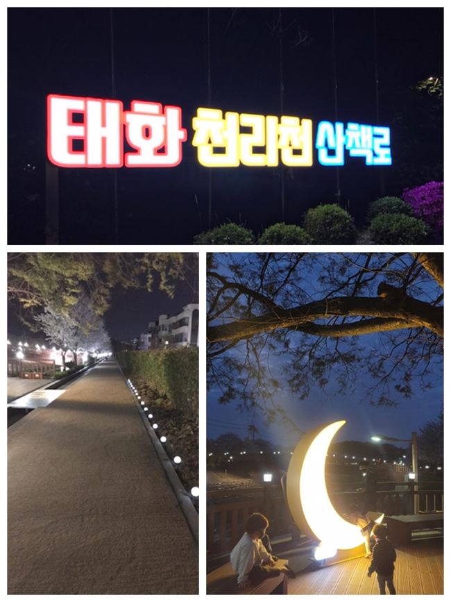 태화동 천리천 야간 산책로 사진