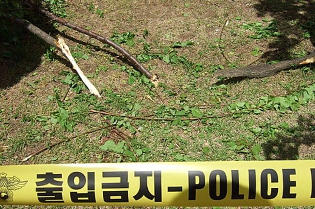 사진은 기사 내용과 전혀 관련이 없음 (사진=뉴시스 제공)