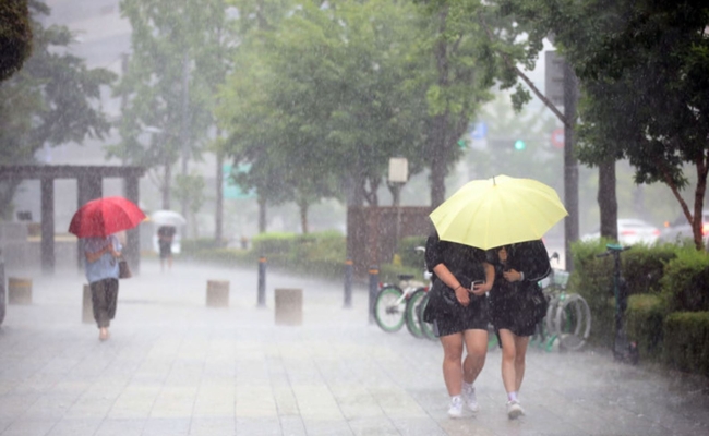 소나기가 내리는 2019년 7월 15일 오후 서울 강남구 학동역 인근 거리에서 시민들이 우산을 쓰고 걷고 있다 (사진=뉴시스 제공)
