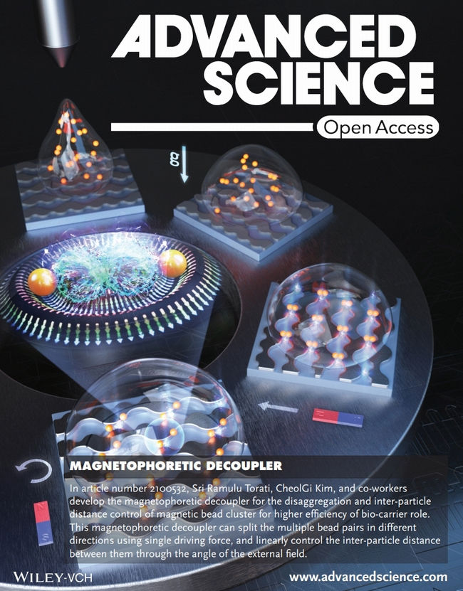 Advanced Science 표지논문커버로 채택된 김철기 교수팀 연구성과 이미지