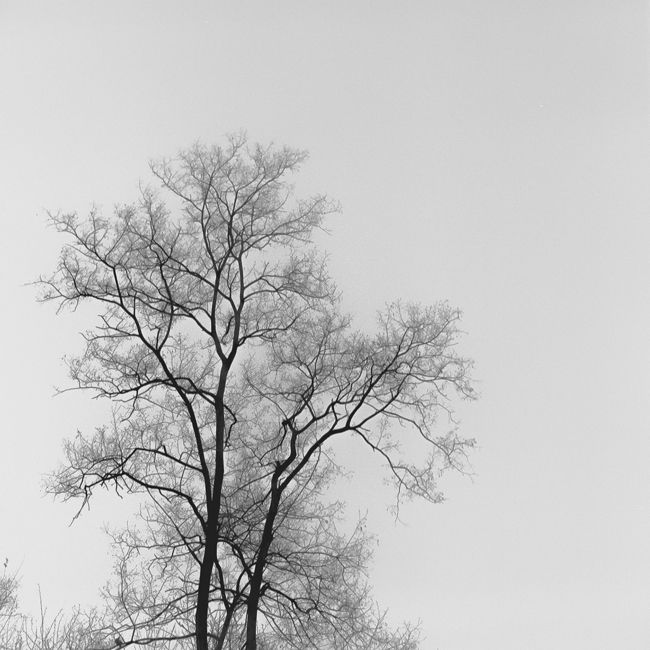 민병길의 '오창05'(위)와 '옥산02'(아래)