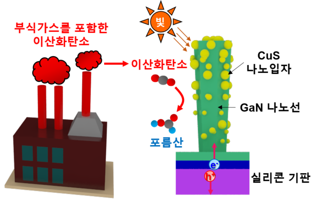 이산화탄소 환원용 광전극 개념도