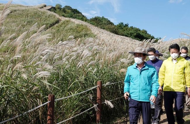 지난 23일 한정우 군수가 화왕산 억새 생육 상황을 점검하고 있다.