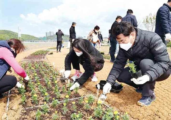 용인시, 기흥호수 물빛정원에 시민들과 봄꽃 심는 모습
