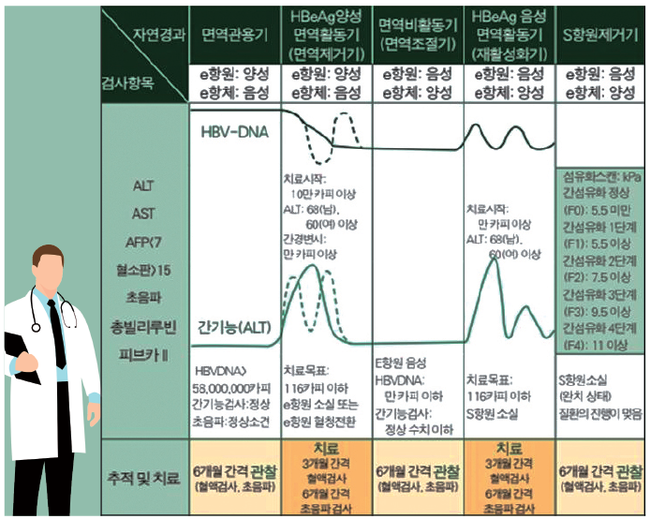 * 2018년 대한간학회의 만성B형 간염 가이드라인을 기준으로 도표작성.<br>
* 간기능검사(ALT) 정상수치는 34(남자), 30(여자)임. HBeAg 양성, 음성 면역활동기 치료시 MRI를 권장함.