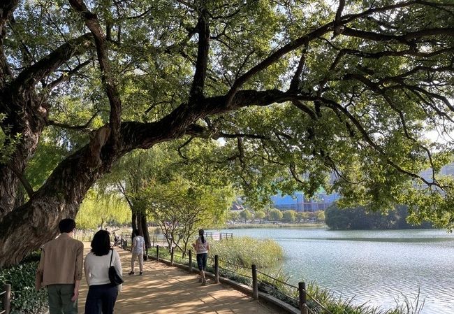  맑은 날씨를 보인 지난 14일 오전 대구 수성구 두산동 수성못을 찾은 시민들이 가을 정취를 느끼고 있다.