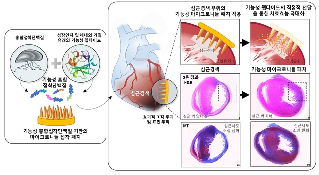 POSTECH 차형준 교수 연구 관련 그림