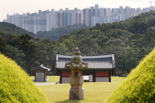 김포 장릉 인근 인천 검단 아파트 불법 건축과 관련해 논란이 계속된 21일 오후 경기 김포시 장릉(사적 제202호)에서 문제의 검단 신도시 아파트가 보이고 있다. (사진제공=뉴시스)