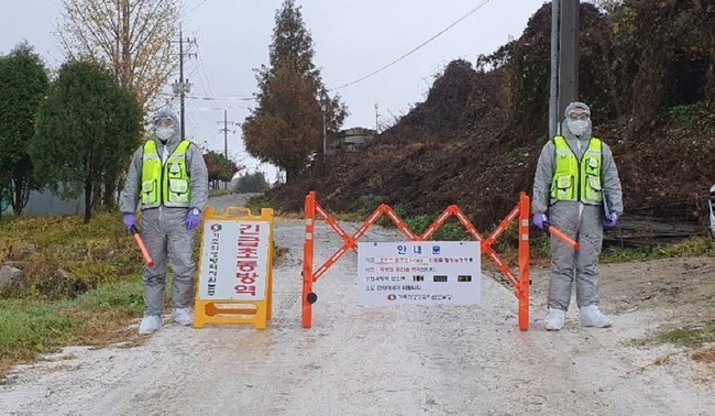 가축위생방역지원본부가 9일 H5형 AI 항원이 검출된 충북 음성군 금왕읍 한 메추리농장을 통제하고 있다. (사진=음성군 제공)