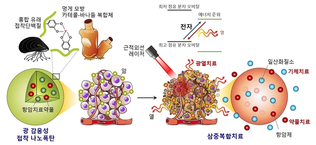 POSTECH 차형준 교수 연구 관련 그림