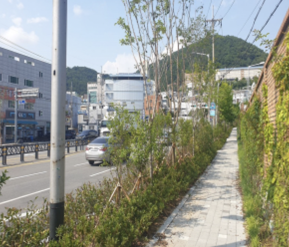 사하구 감천항 미세먼지차단숲 조성후 사진
