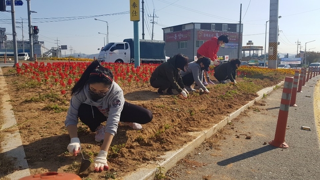 2021년 공공근로사업 관련 사진