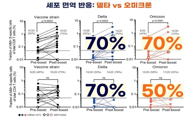 코로나19 백신 부스터샷 접종 후 오미크론 감염에서 T세포(위쪽)와 보조 T세포(아래쪽)의 면역반응은 각각 70%, 50%로 비교적 잘 유지됐다.(출처 : 서울대병원)