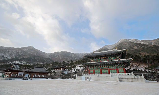 경남 산청군 동의보감촌 동의전과 왕산, 필봉산에 눈이 내려 진풍경을 연출하고 있다. (사진=산청군 제공).